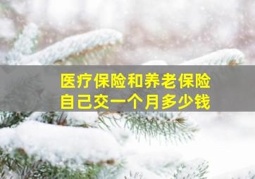 医疗保险和养老保险自己交一个月多少钱