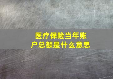 医疗保险当年账户总额是什么意思