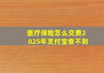 医疗保险怎么交费2025年支付宝查不到