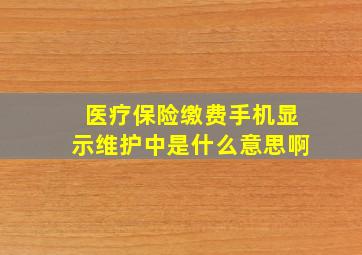 医疗保险缴费手机显示维护中是什么意思啊