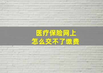 医疗保险网上怎么交不了缴费