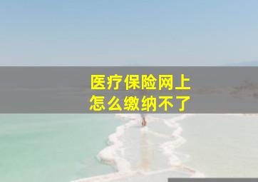 医疗保险网上怎么缴纳不了