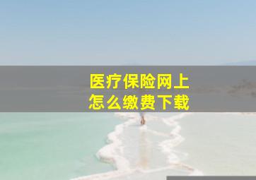 医疗保险网上怎么缴费下载