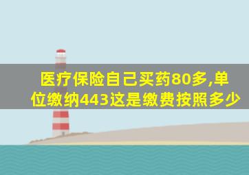 医疗保险自己买药80多,单位缴纳443这是缴费按照多少