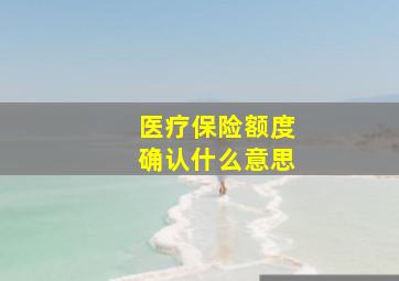 医疗保险额度确认什么意思