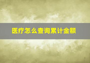 医疗怎么查询累计金额