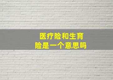 医疗险和生育险是一个意思吗