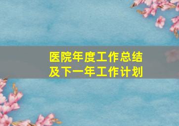 医院年度工作总结及下一年工作计划