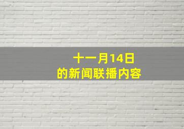 十一月14日的新闻联播内容