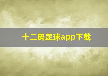 十二码足球app下载