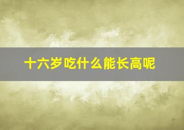 十六岁吃什么能长高呢