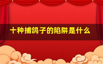 十种捕鸽子的陷阱是什么