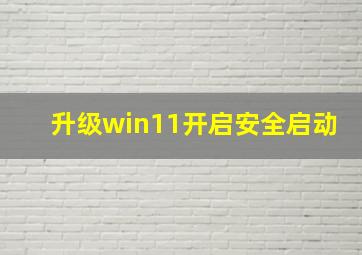 升级win11开启安全启动