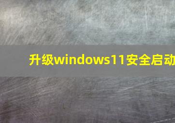 升级windows11安全启动