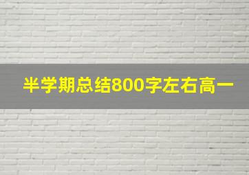 半学期总结800字左右高一