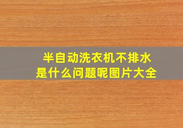 半自动洗衣机不排水是什么问题呢图片大全