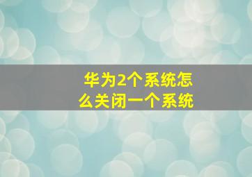 华为2个系统怎么关闭一个系统