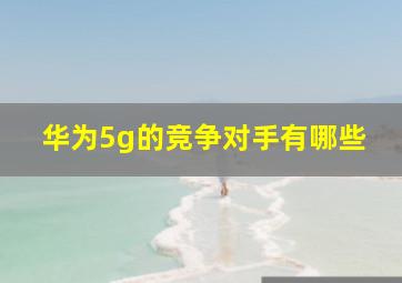 华为5g的竞争对手有哪些