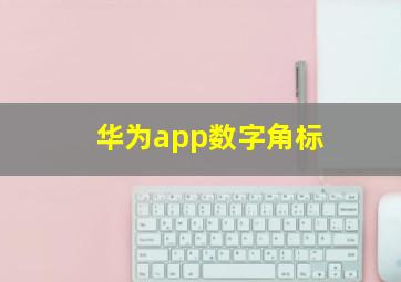 华为app数字角标