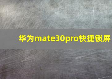 华为mate30pro快捷锁屏