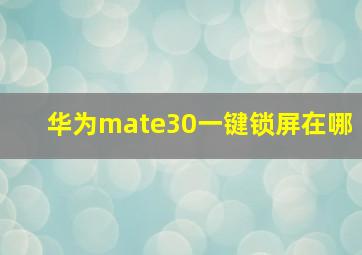 华为mate30一键锁屏在哪