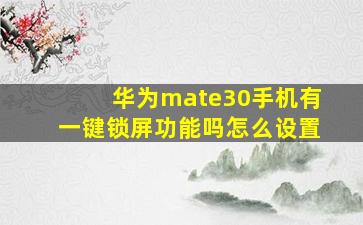 华为mate30手机有一键锁屏功能吗怎么设置