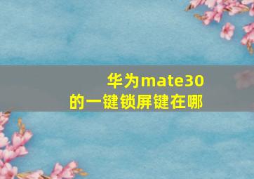 华为mate30的一键锁屏键在哪