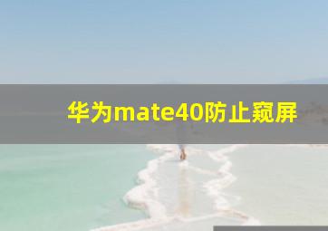 华为mate40防止窥屏