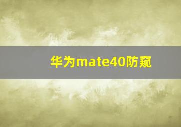 华为mate40防窥