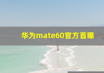 华为mate60官方首曝