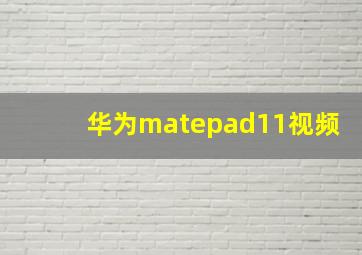 华为matepad11视频