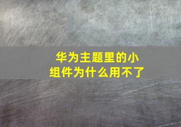 华为主题里的小组件为什么用不了