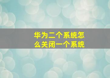 华为二个系统怎么关闭一个系统