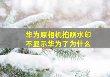 华为原相机拍照水印不显示华为了为什么