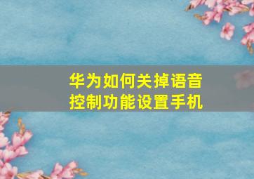 华为如何关掉语音控制功能设置手机