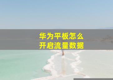 华为平板怎么开启流量数据