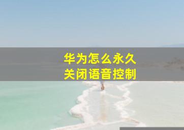 华为怎么永久关闭语音控制