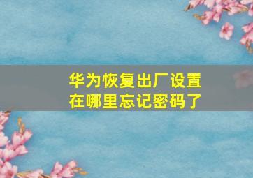 华为恢复出厂设置在哪里忘记密码了