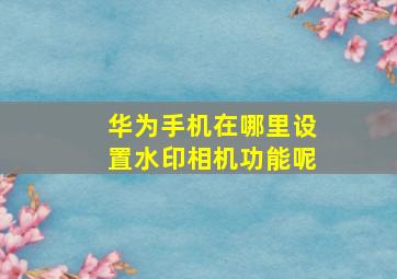 华为手机在哪里设置水印相机功能呢