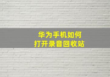 华为手机如何打开录音回收站