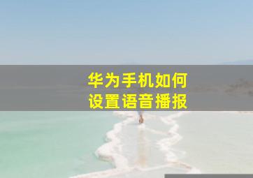 华为手机如何设置语音播报