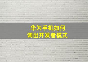 华为手机如何调出开发者模式