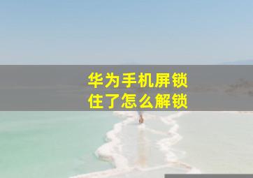 华为手机屏锁住了怎么解锁