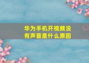 华为手机开视频没有声音是什么原因