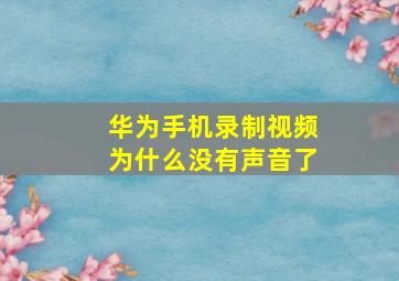 华为手机录制视频为什么没有声音了