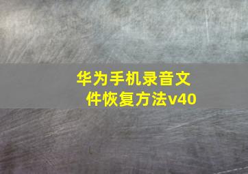 华为手机录音文件恢复方法v40