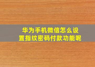 华为手机微信怎么设置指纹密码付款功能呢