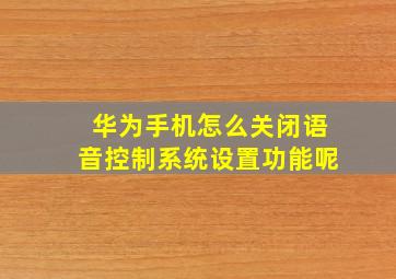 华为手机怎么关闭语音控制系统设置功能呢