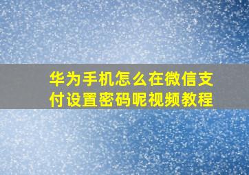 华为手机怎么在微信支付设置密码呢视频教程