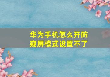 华为手机怎么开防窥屏模式设置不了